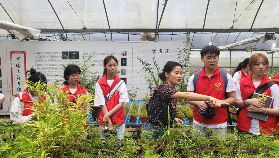 Villages become entrepreneurship hubs for youngsters in Chongqing