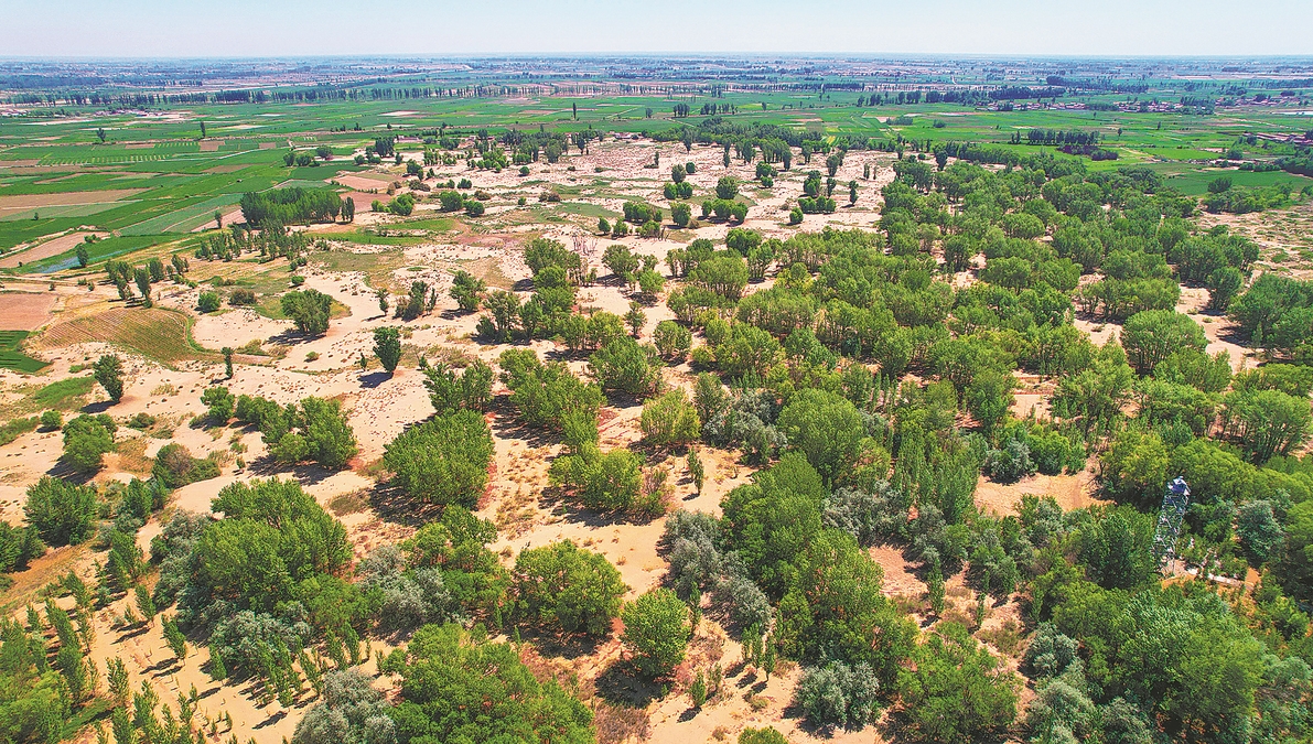 Holistic approach transforms desert