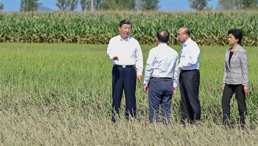 Xi visits flood-affected villagers in NE China's Heilongjiang Province