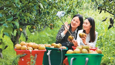 E-commerce boosts sales of agricultural products in China