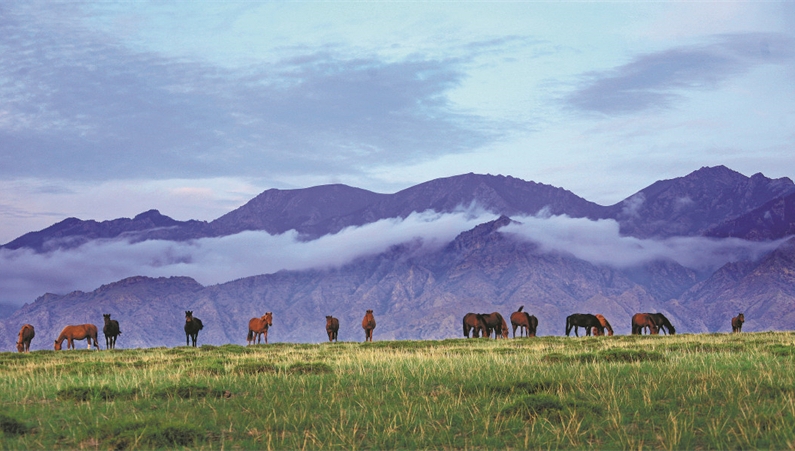 'Cloud planting' projects stop deserts from merging