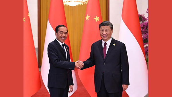 Xi holds talks with Indonesian president