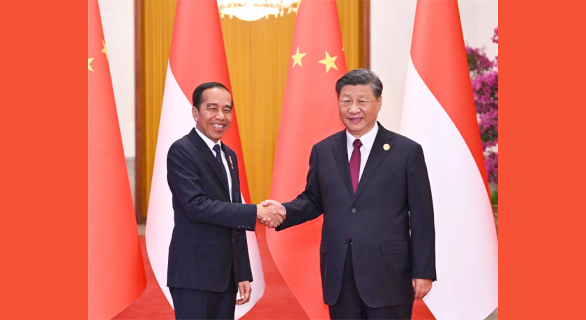 Xi holds talks with Indonesian president