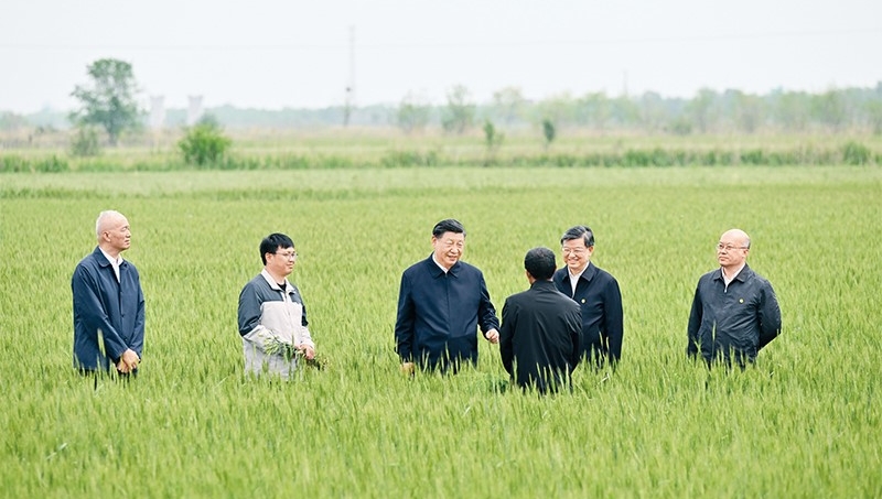 Xi's article on farmland protection to be published