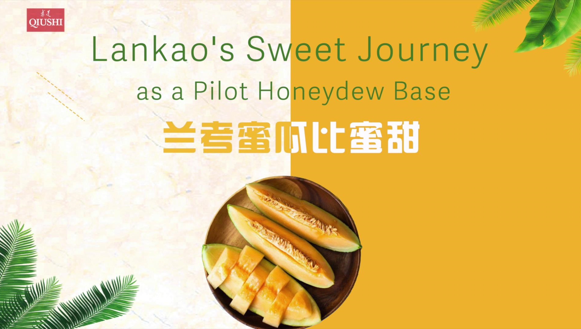 Lankao’s Sweet Journey as a Pilot Honeydew Base
