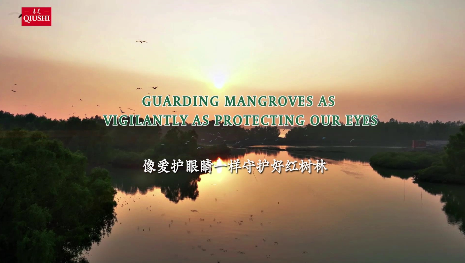 Guarding Mangroves as Vigilantly as Protecting Our Eyes