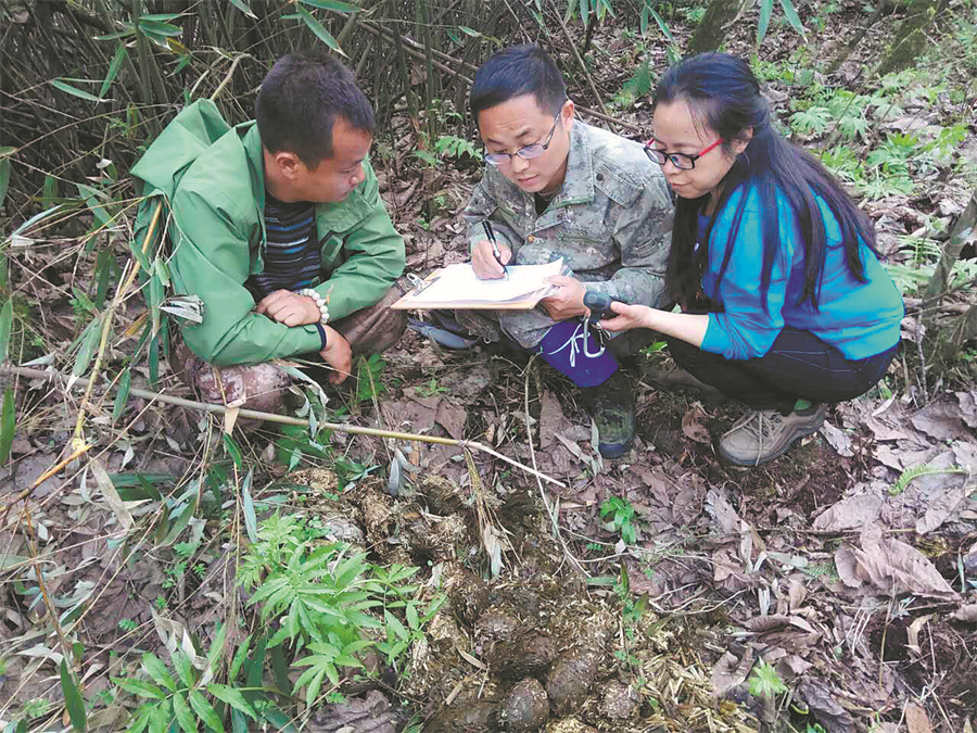Biodiversity improving in Sichuan