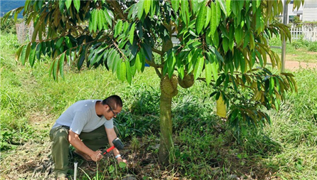 China labels farm produce with carbon footprints for greener cultivation