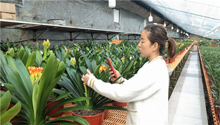 Opportunities flourish in rural China as new professions bloom