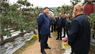 Xi makes inspections in NW China's Shaanxi, Gansu provinces