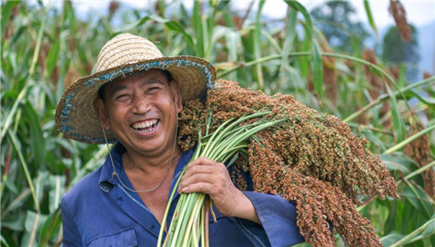 China sees sound fundamentals to reap another bumper grain harvest