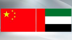 China ready to boost friendship, cooperation with UAE: Xi