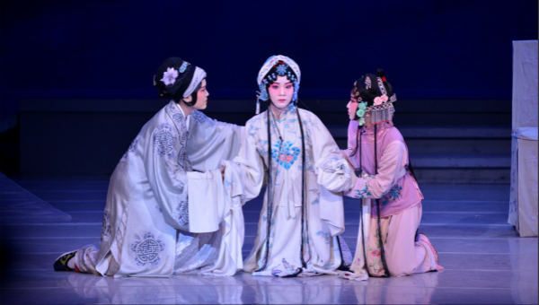 Xi calls for inheriting, developing traditional opera