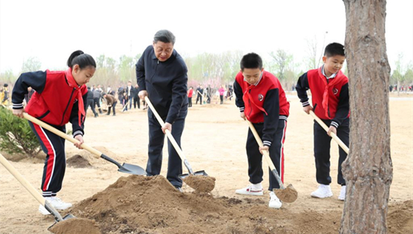 Xi stresses harmony between humans, nature during tree-planting activity