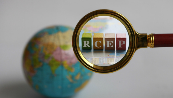 RCEP countries urged to integrate, restructure resources to restore global growth