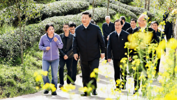 Xi's article on China's new development stage to be published
