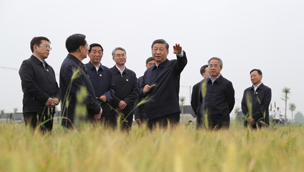 Xi inspects China's mega water diversion project