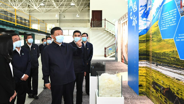 Xi inspects northwest China's Qinghai