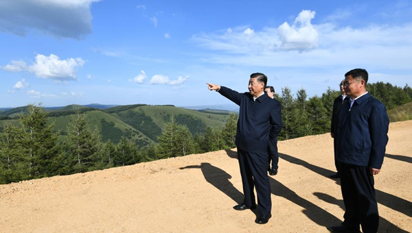 Xi inspects forest farm in Hebei Province
