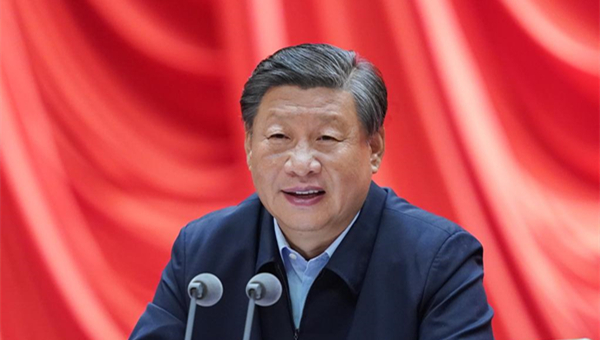 Xi calls on young officials to strengthen loyalty, competency for important tasks