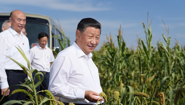Xi inspects northwest China's Shaanxi Province