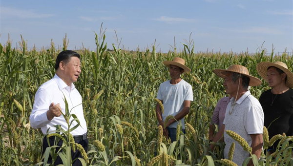 What's high on Xi's agenda for rural affairs