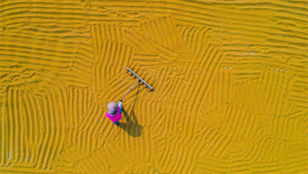 Xi extends greetings ahead of Chinese farmers' harvest festival