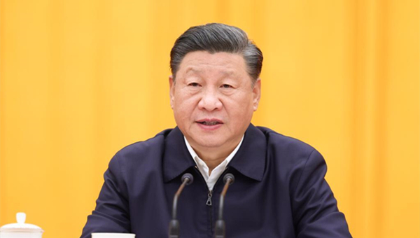 Xi stresses enhancing whole-process people's democracy