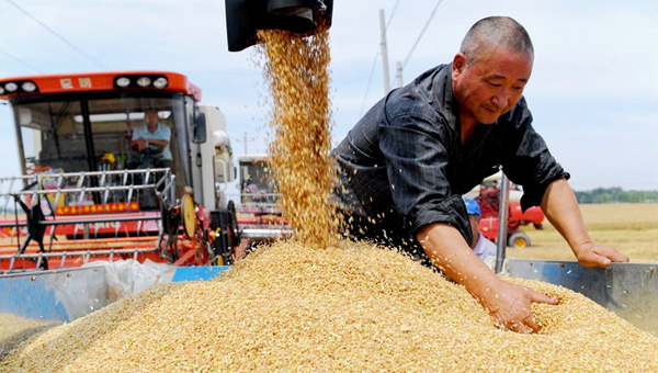 How China has contributed to world food security