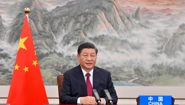 Xi puts forward suggestions to boost global development, address governance difficulties