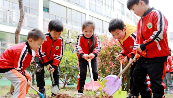 China sees 78.1 billion trees planted in 40 years