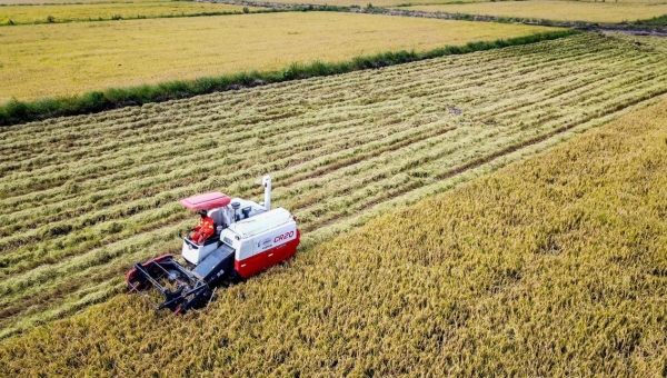 China continuously promotes international agricultural cooperation for global food security