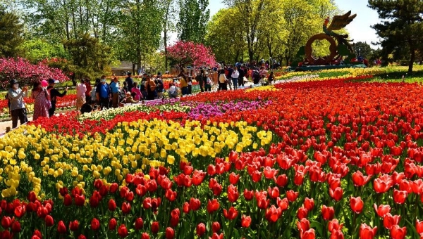 China's first national botanical garden to take shape in Beijing