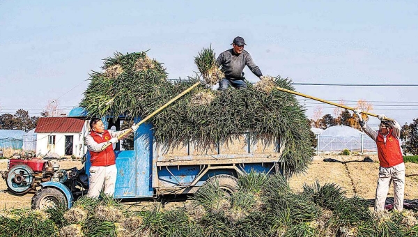 Central authorities target rural growth