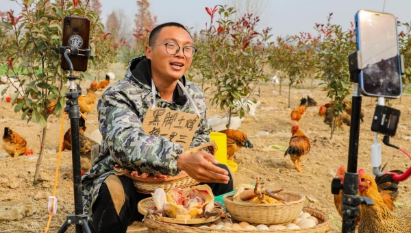 Digital village construction drives modernization of agriculture and rural areas in China
