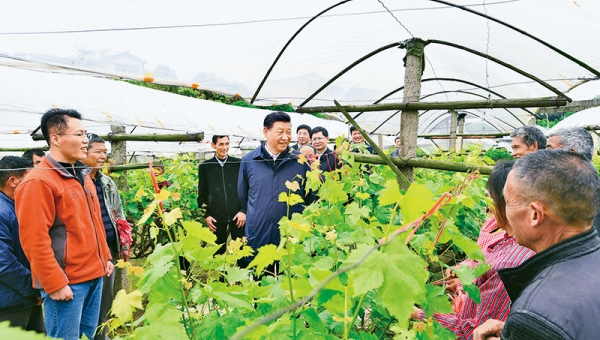 Xi's article on agriculture, rural areas, rural residents to be published