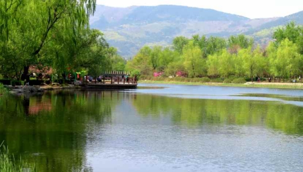 Newly inaugurated China National Botanical Garden to better protect plant diversity
