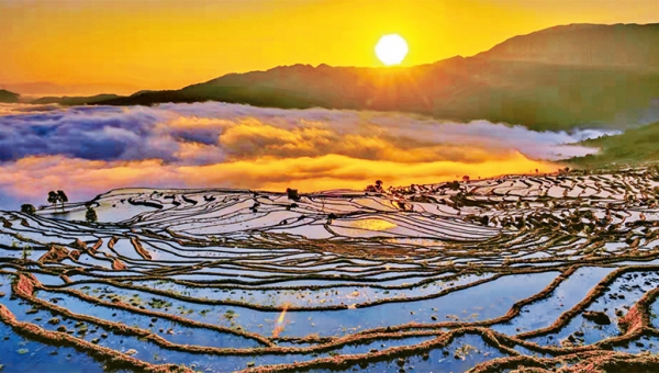 Prosperous Times on the Hani Rice Terraces