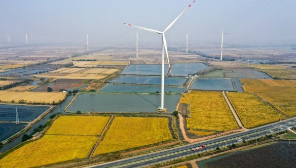 China leverages fiscal policies to spur decarbonization