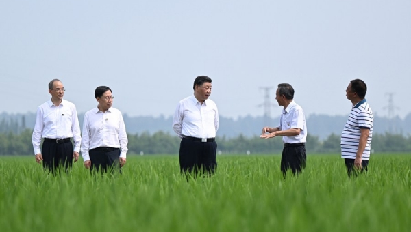 Inspecting Sichuan, Xi stresses maintaining stable economic development