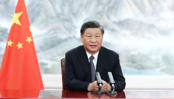 Xi urges BRICS solidarity, openness for peace, development