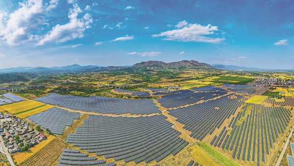 Renewable energy development boosts China's pursuit for carbon goals: Report