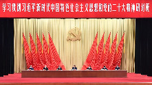 Xi stresses grasping, advancing Chinese modernization