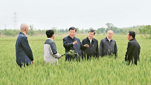 Xi's article on audit work to be published