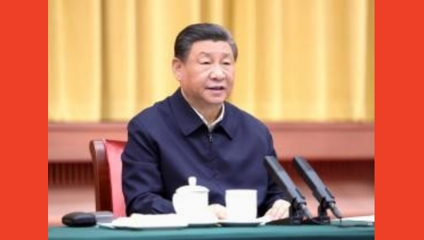 Xi calls for solid efforts to further development of central region