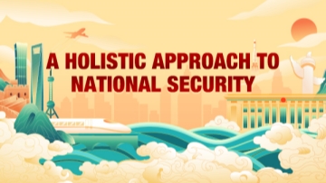 A Holistic Approach to National Security