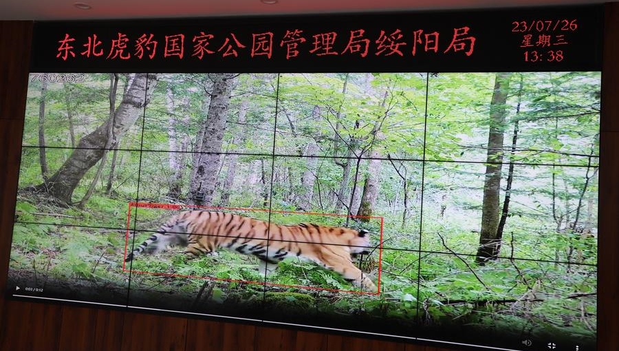 China seeks to build world's largest national park system