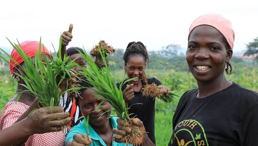 African agriculture thrives with Chinese technology, market access