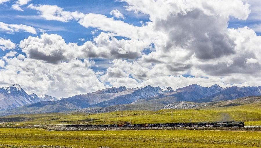 Ecology well protected along Qinghai-Xizang Railway, Highway