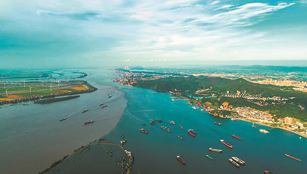 Numbers of Yangtze finless porpoise increasing